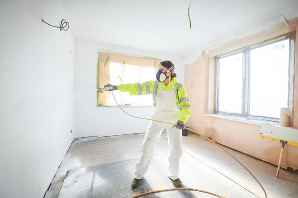 Mold Removal for HVAC Installations in St Georges, DE