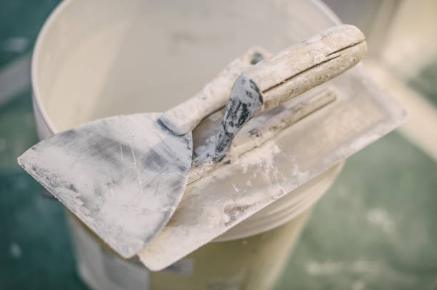 Best Asbestos and Lead Testing During Mold Inspection  in St Georges, DE